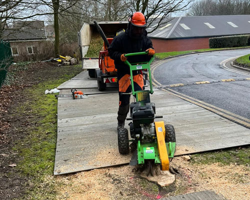 Stump Grinding