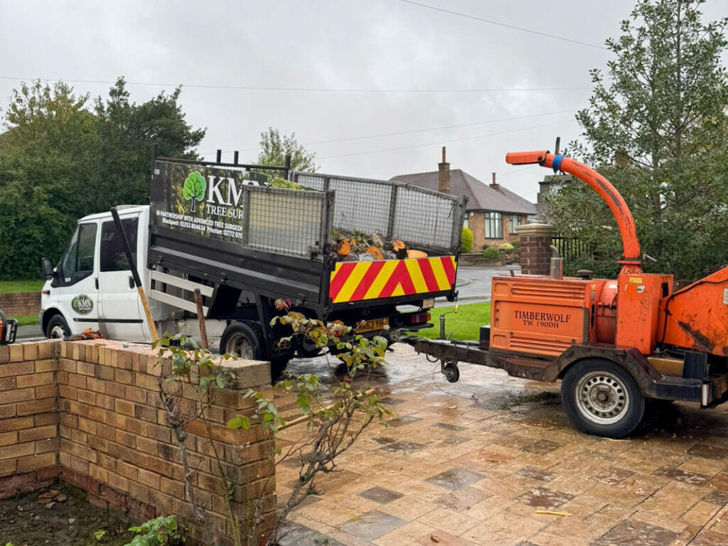 KMN Tree services Blackpool