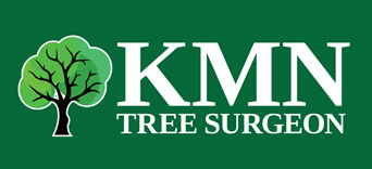 KMN Tree Surgeon