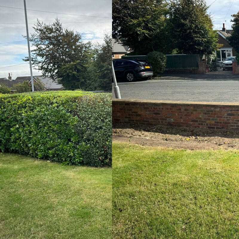 Hedge Removal