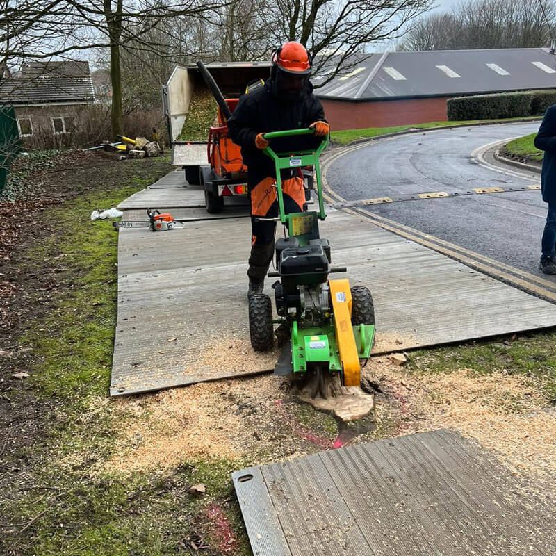 Stump Grinding