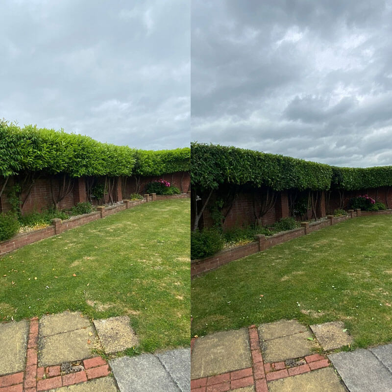 Hedge Trimming