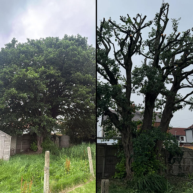 Crown Reduction Blackpool